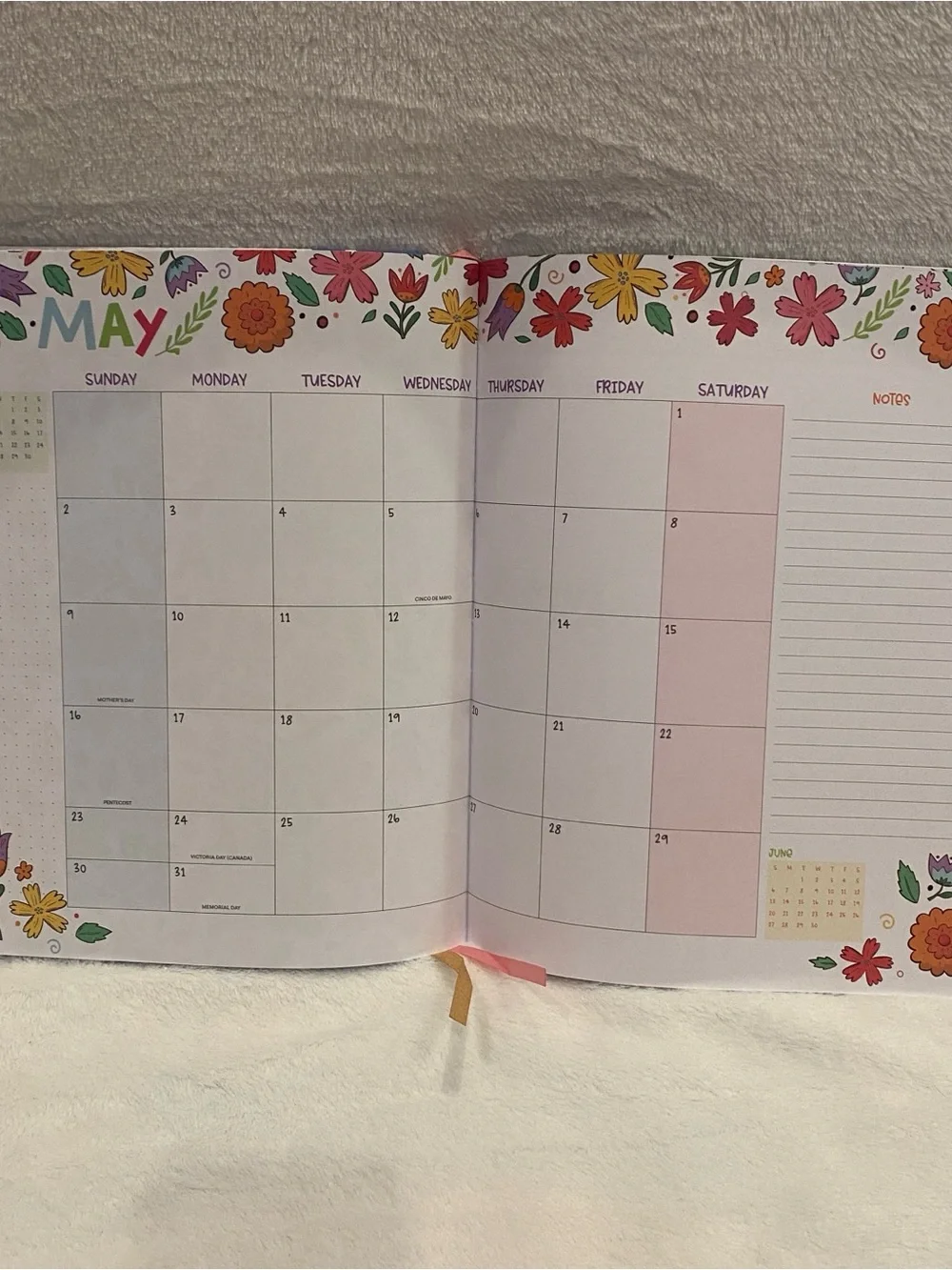 The Creative Expert Apples 17-Month Coloring Bound Planner Aug 2026-Dec 2027 NWT